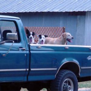 web-80103-boys-in-truck