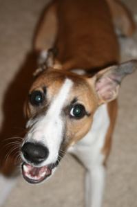 web-img_1967 web-img_1967