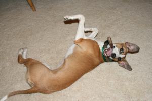 web-img_1995 web-img_1995