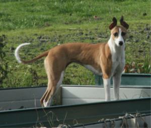 web-img_2527 web-img_2527