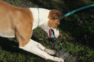 web-img_2571 web-img_2571