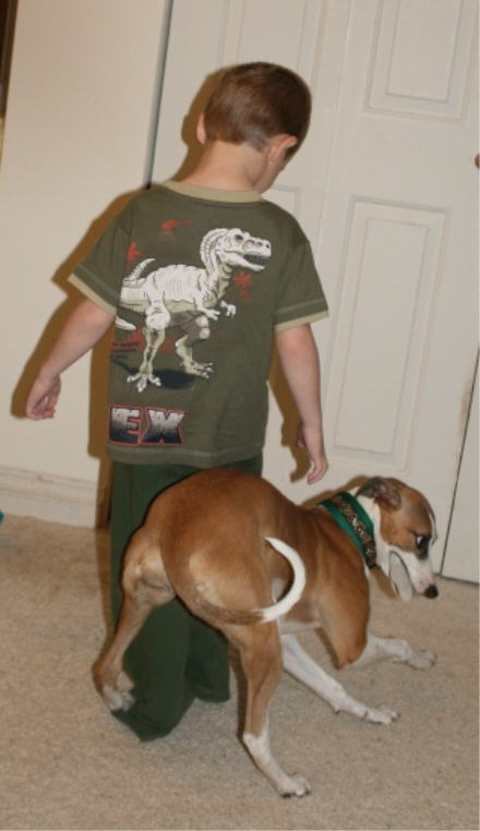 web-img_27231 web-img_27231