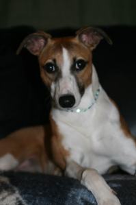 web-img_2733 web-img_2733