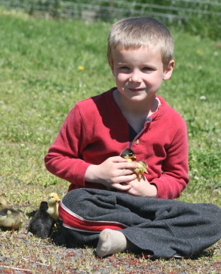 web-img_8739 web-img_8739