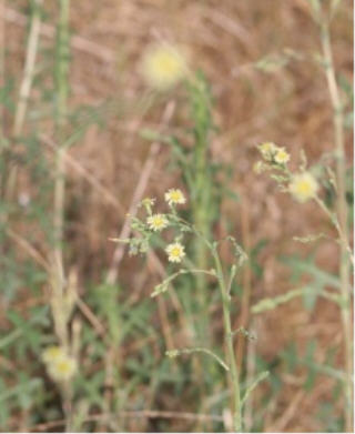 web IMG_4089 web IMG_4089