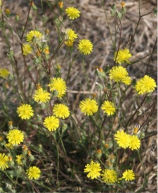 web IMG_4090 web IMG_4090