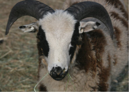 web IMG_4098 web IMG_4098