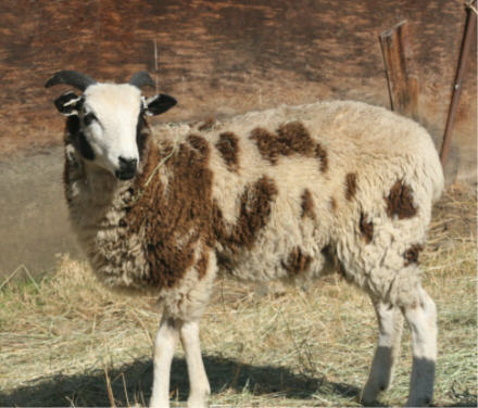 web IMG_8900 web IMG_8900