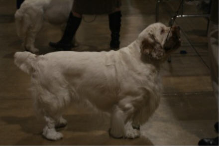 web IMG_9630 web IMG_9630