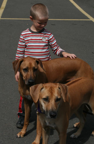 web IMG_9662 web IMG_9662