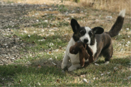 web IMG_9665 web IMG_9665