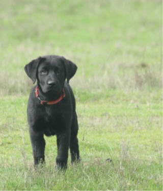 web IMG_0430 web IMG_0430