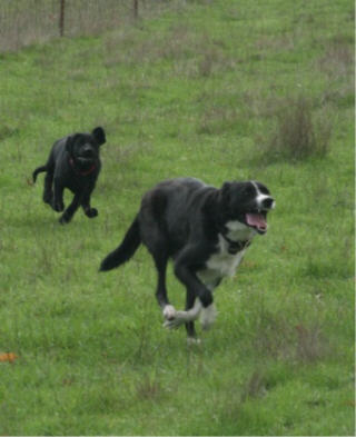 web IMG_0463 web IMG_0463