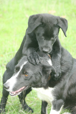 web IMG_0490 web IMG_0490