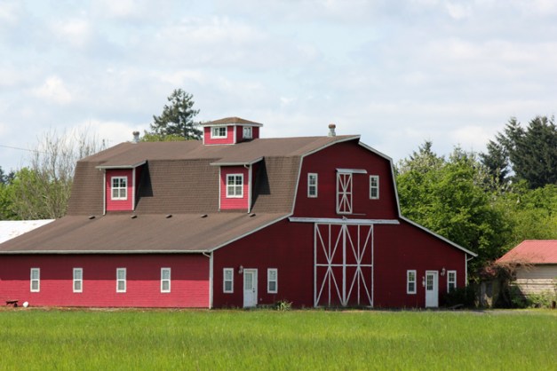 web-lamb-field-trip-5