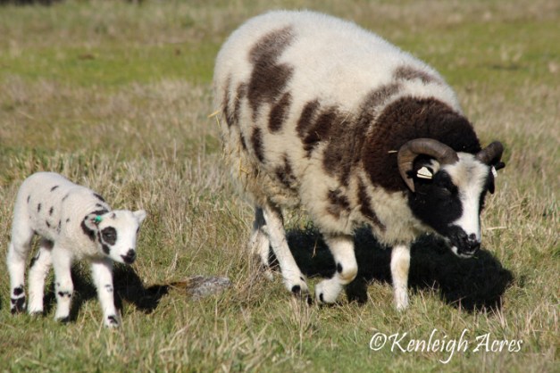 web-foggy-day-011913