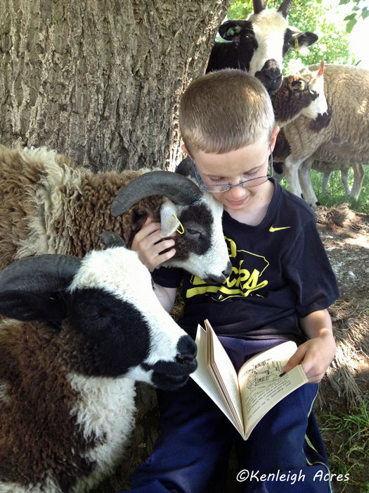 web-summer-reading-10