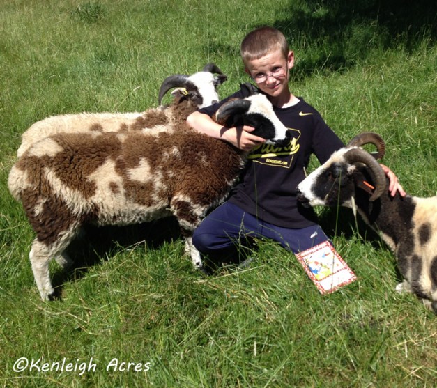 web-summer-reading-12