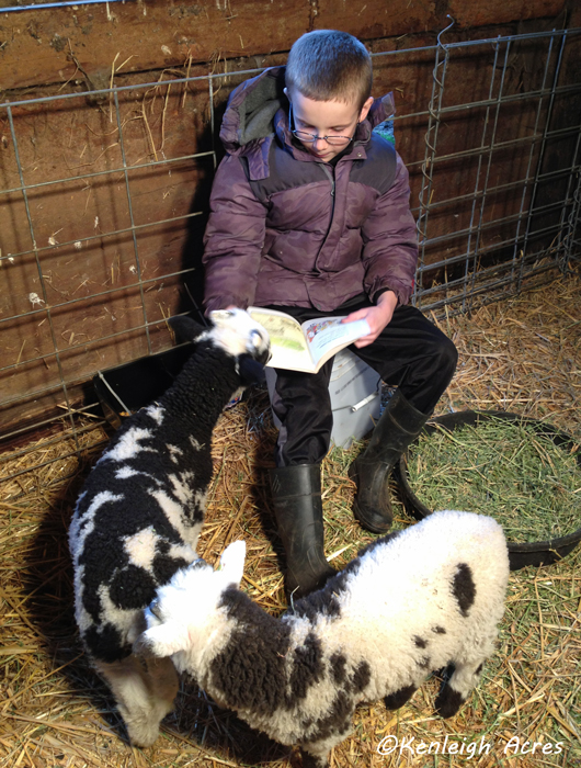 web-summer-reading-13