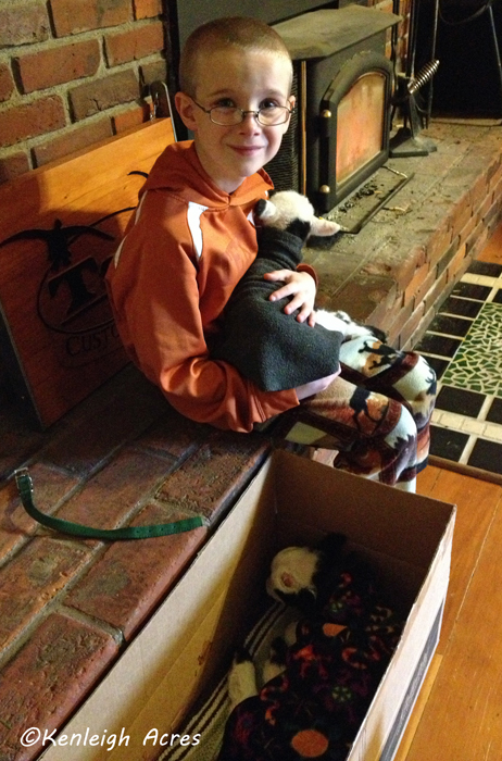 web-summer-reading-14