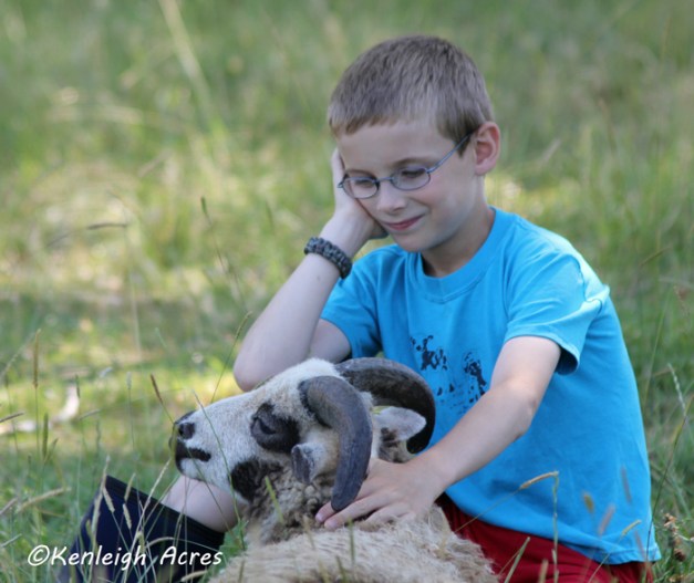 web-summer-reading-2