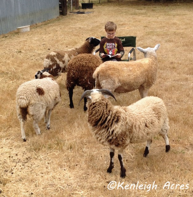 web-summer-reading-5