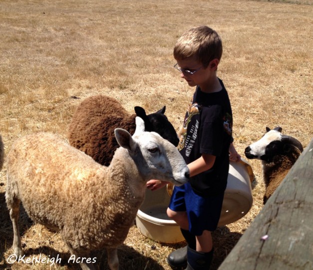 web-summer-reading-6