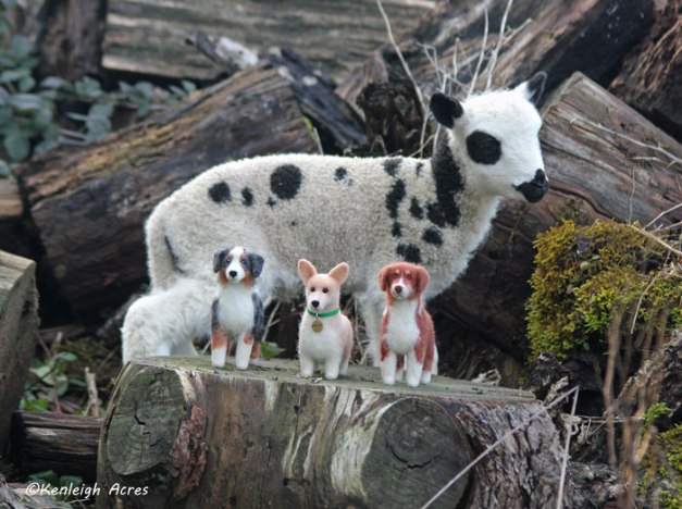 web-meet--pups-and-lamb