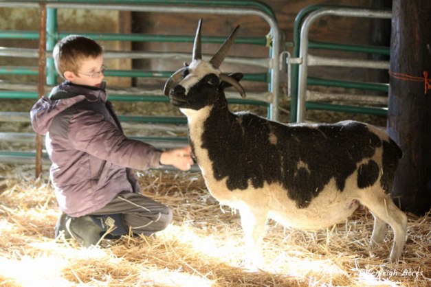 web-Theron-and-Delight